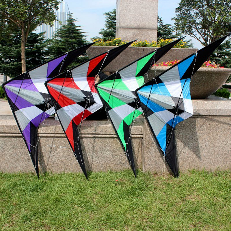 Kite Wind Outdoor - المهنية في الهواء الطلق متعة الرياضة