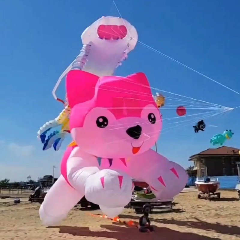 طائرات ورقية عملاقة تحلق طائرا - مراجعة Kite Wind Outdoor وسعره