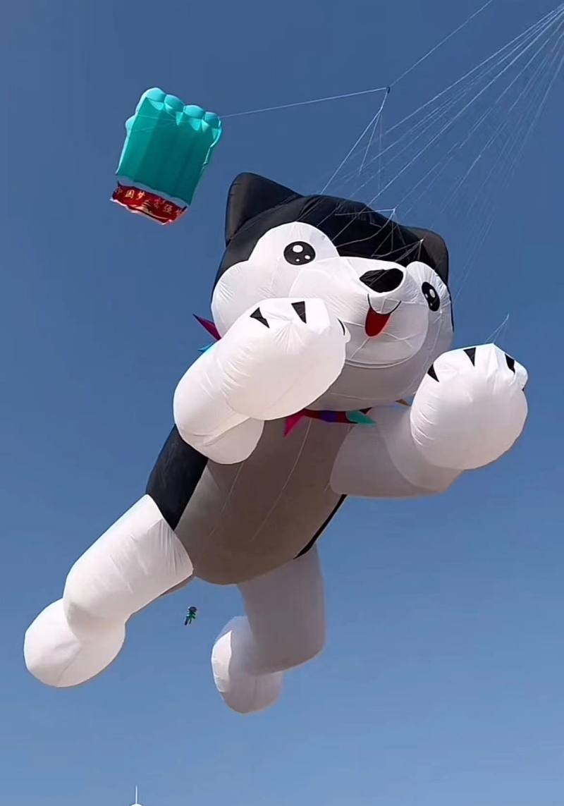 طائرات ورقية عملاقة تحلق طائرا - مراجعة Kite Wind Outdoor وسعره