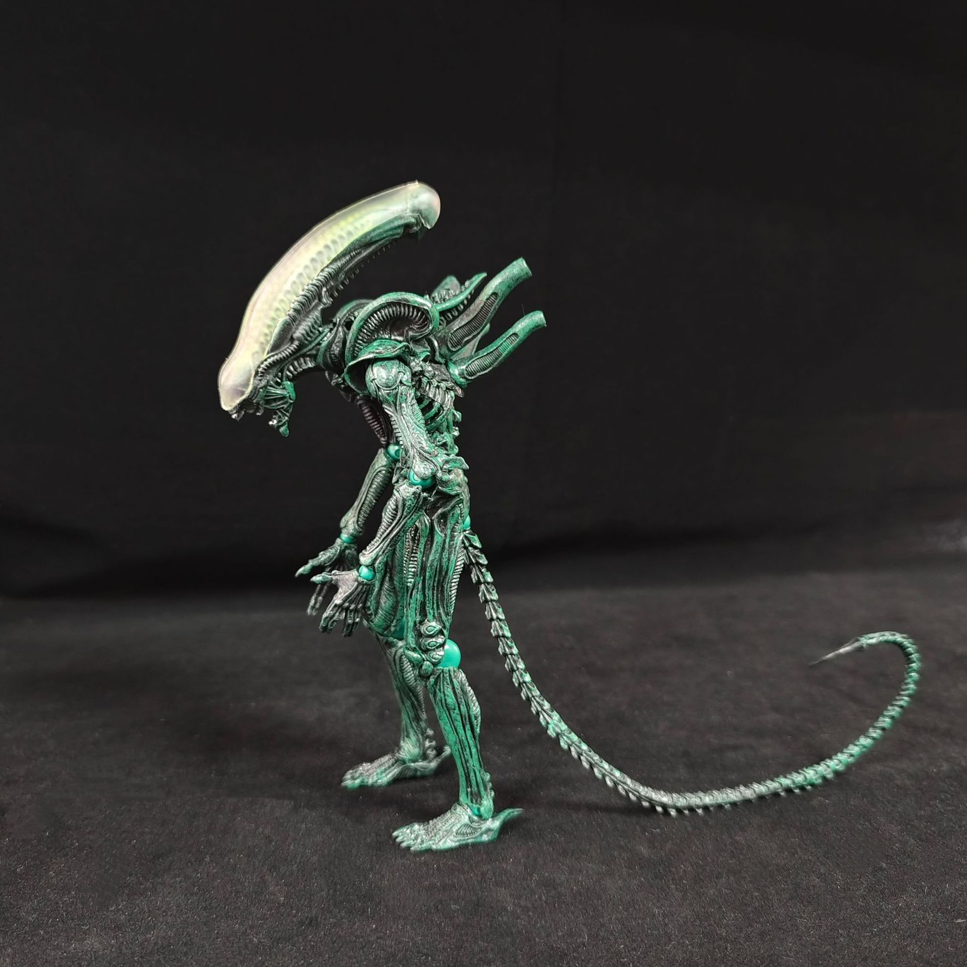 مجسمات أنمي متحركة مفصلية على  - مراجعة Xenomorph Kids Toys وسعره