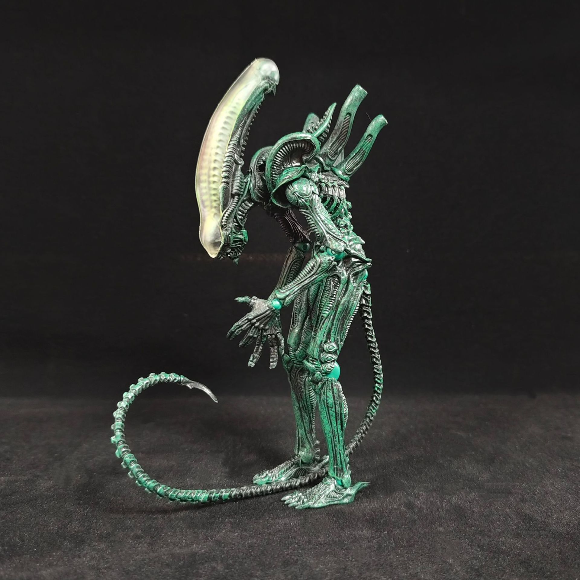 مجسمات أنمي متحركة مفصلية على  - مراجعة Xenomorph Kids Toys وسعره