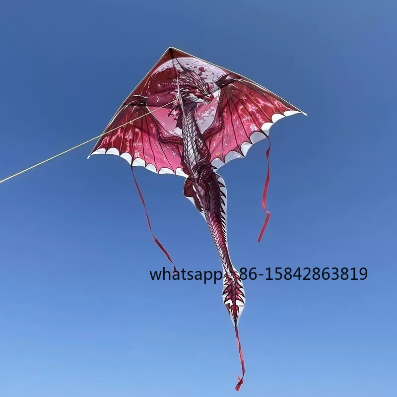 طائرات ورقية جديدة على شكل دين - مراجعة Kite Wind Outdoor وسعره