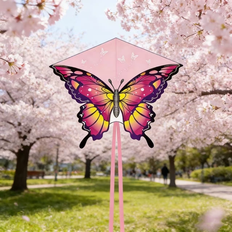 طائرات ورقية على شكل فراشة بطو - مراجعة Kite Wind Outdoor وسعره