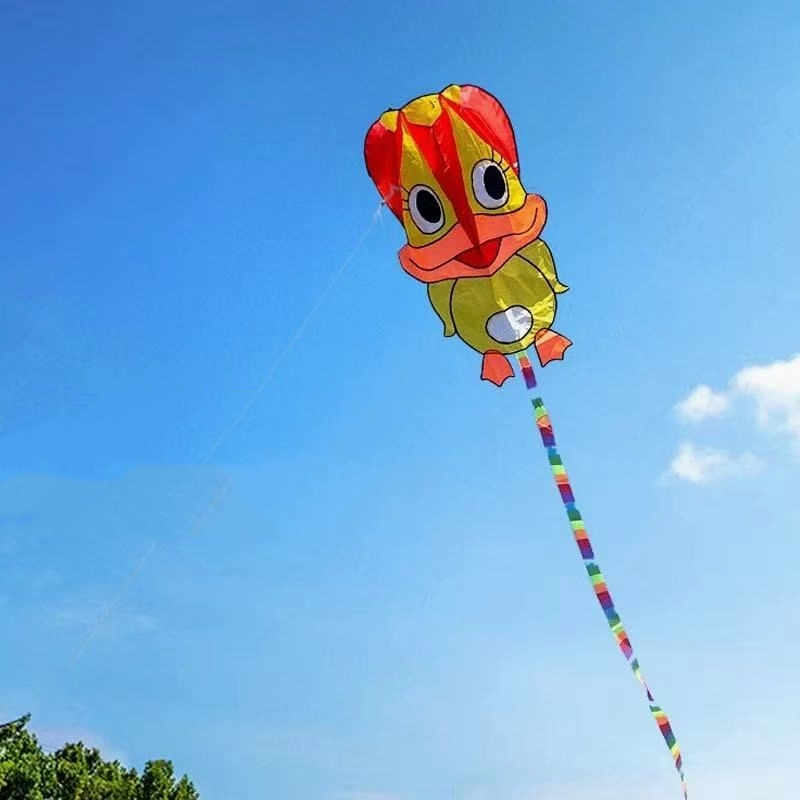طائرات ورقية قابلة للنفخ، طائر - مراجعة Kite Wind Outdoor وسعره