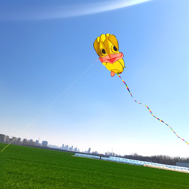طائرات ورقية قابلة للنفخ، طائر - مراجعة Kite Wind Outdoor وسعره