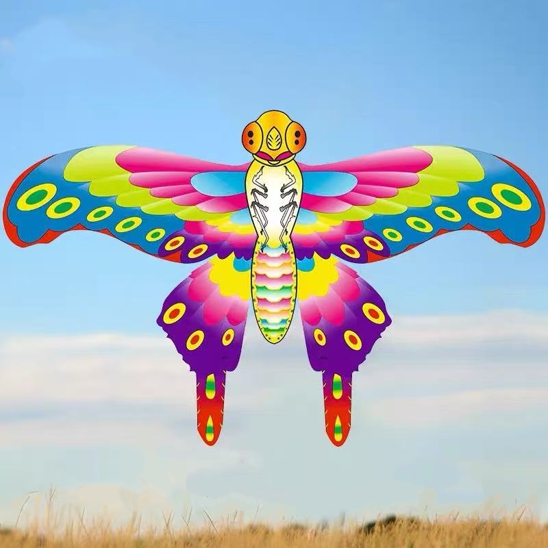طائرة ورقية صغيرة محمولة باليد - مراجعة Kite Wind Outdoor وسعره