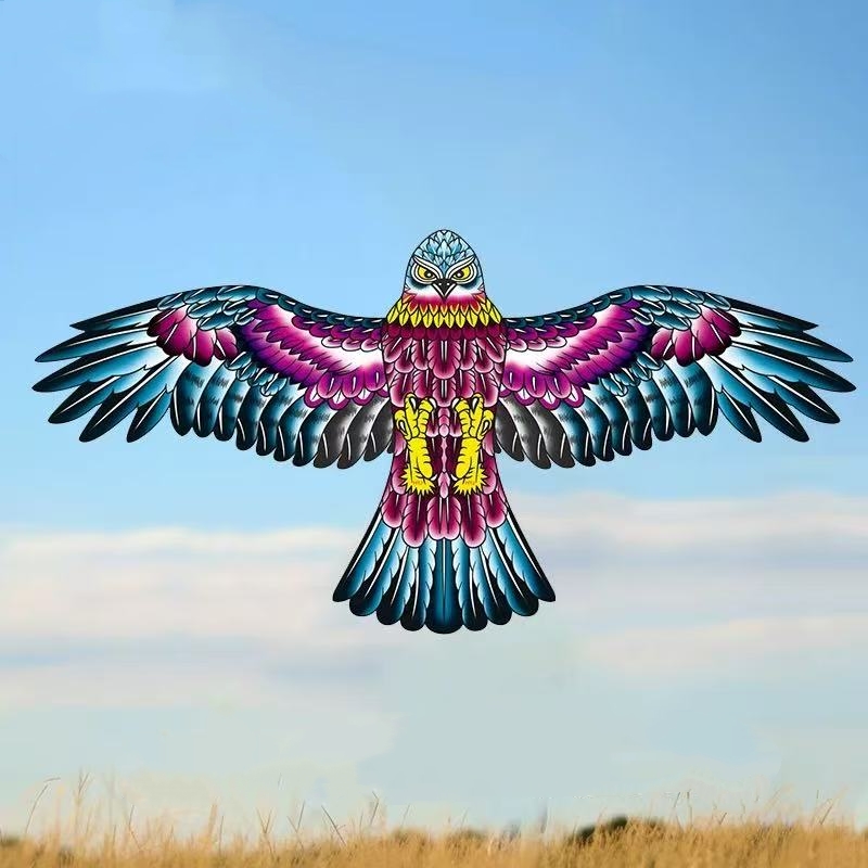 طائرة ورقية صغيرة محمولة باليد - مراجعة Kite Wind Outdoor وسعره