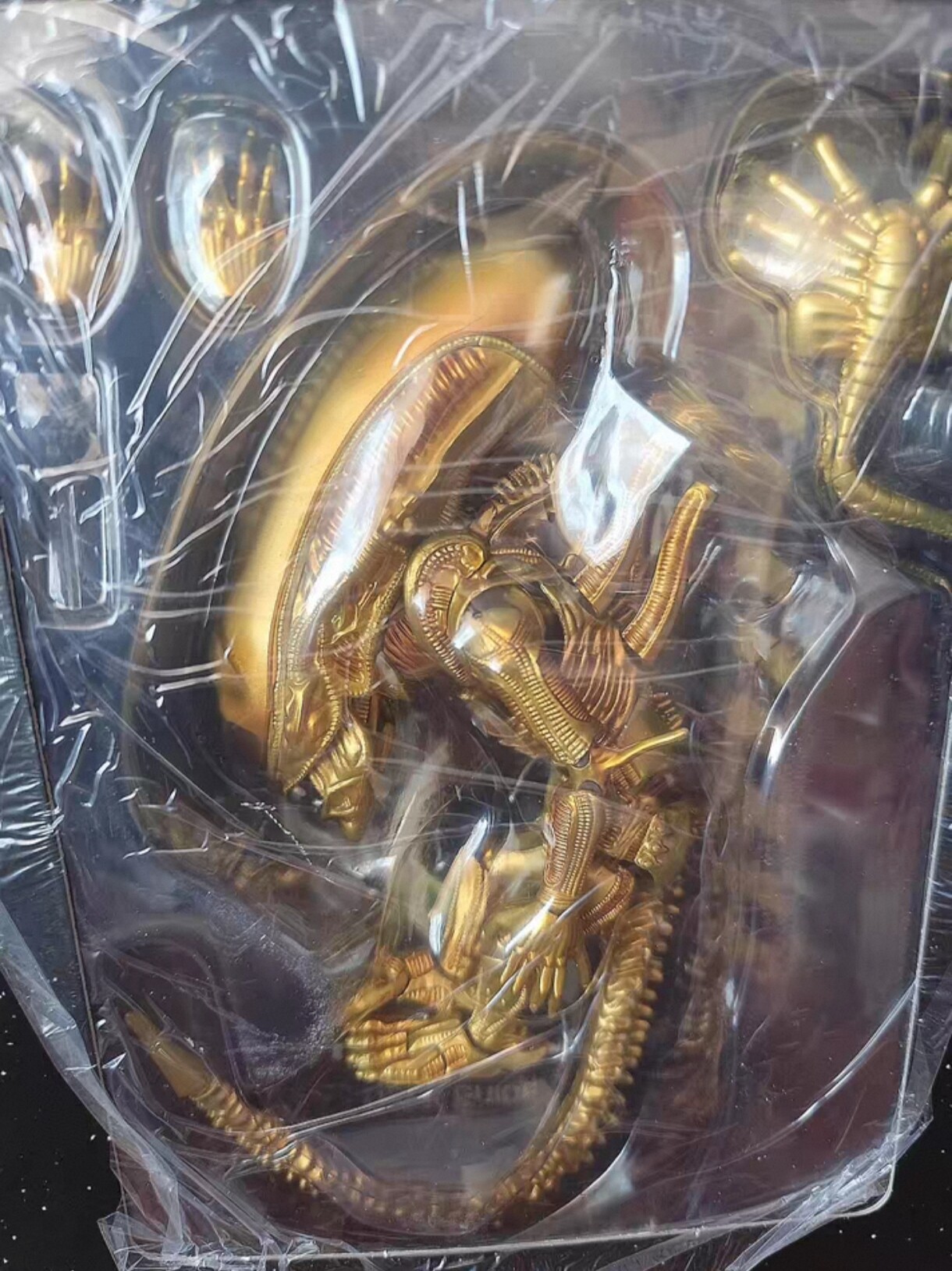 نموذج شخصية زينومورف الفضائية  - مراجعة Xenomorph Kids Toys وسعره