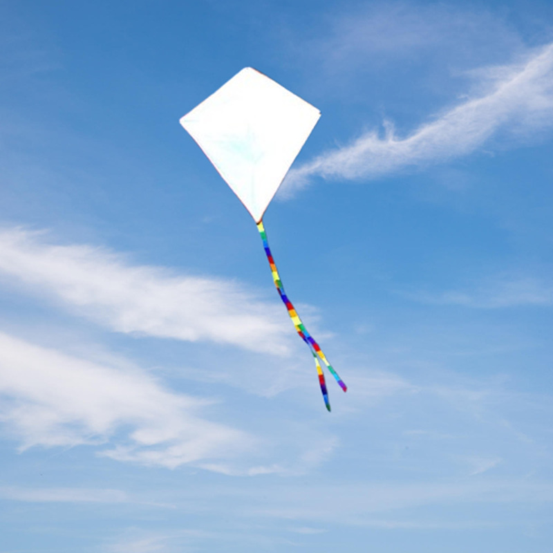 قطعتان من طائرات ورقية للبالغي - مراجعة Kite Wind Outdoor وسعره
